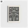 3-11_Ernst-Haeckel_memo