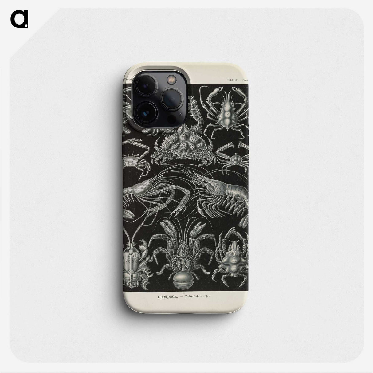 3-11_Ernst-Haeckel_phone
