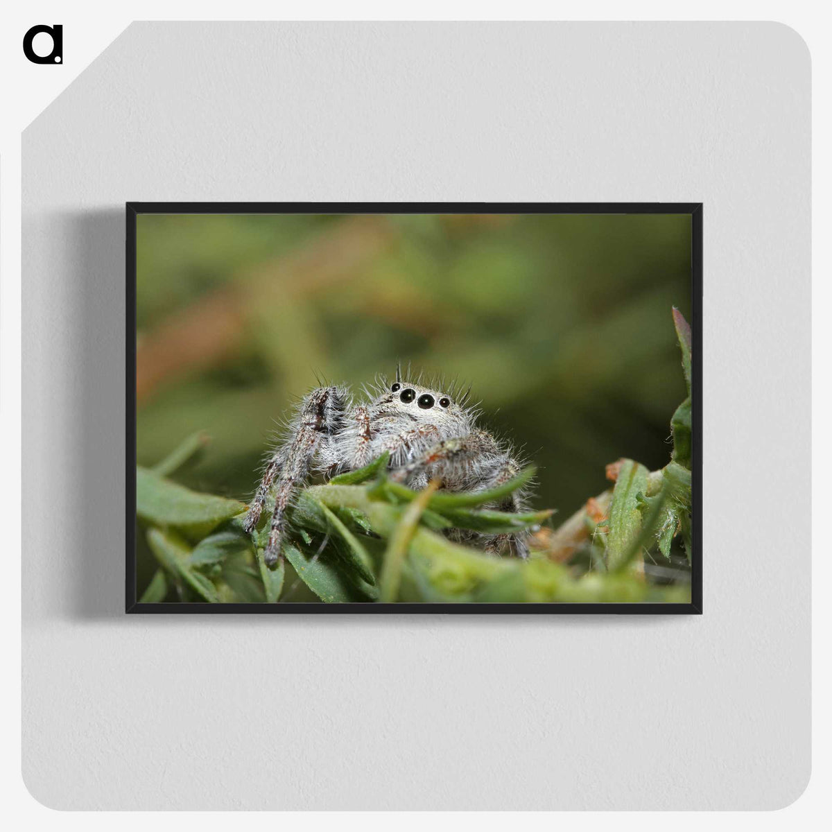 3-11_Insects-Unlocked-Project_blk-crop