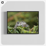 3-11_Insects-Unlocked-Project_blk-crop