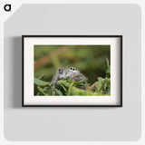 3-11_Insects-Unlocked-Project_blk