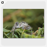 3-11_Insects-Unlocked-Project_picture-crop