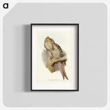 3-11_John-Gould_blk