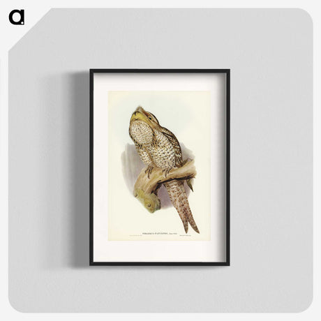 3-11_John-Gould_blk