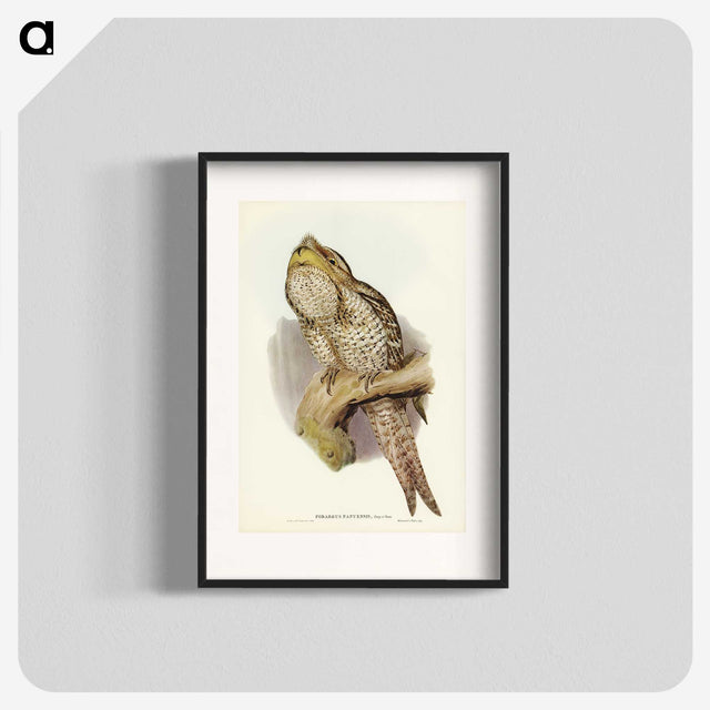 3-11_John-Gould_blk