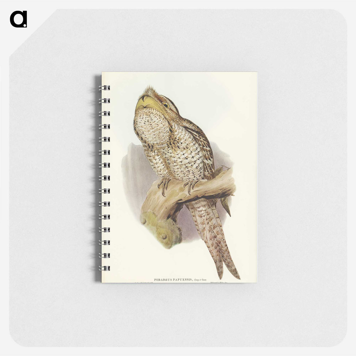 3-11_John-Gould_memo