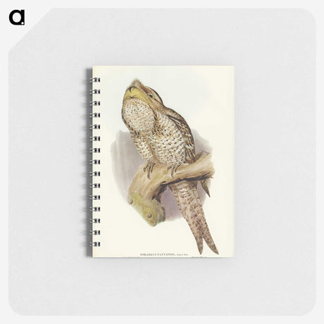 3-11_John-Gould_memo