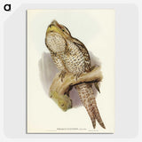 3-11_John-Gould_picture-crop
