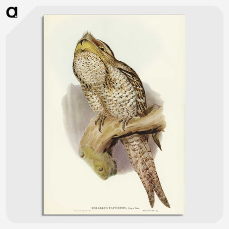 3-11_John-Gould_picture-crop