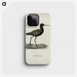 3-11_Magnus-von-Wright_phone