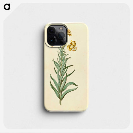 3-11_Maria-Sibylla-Merian_phone