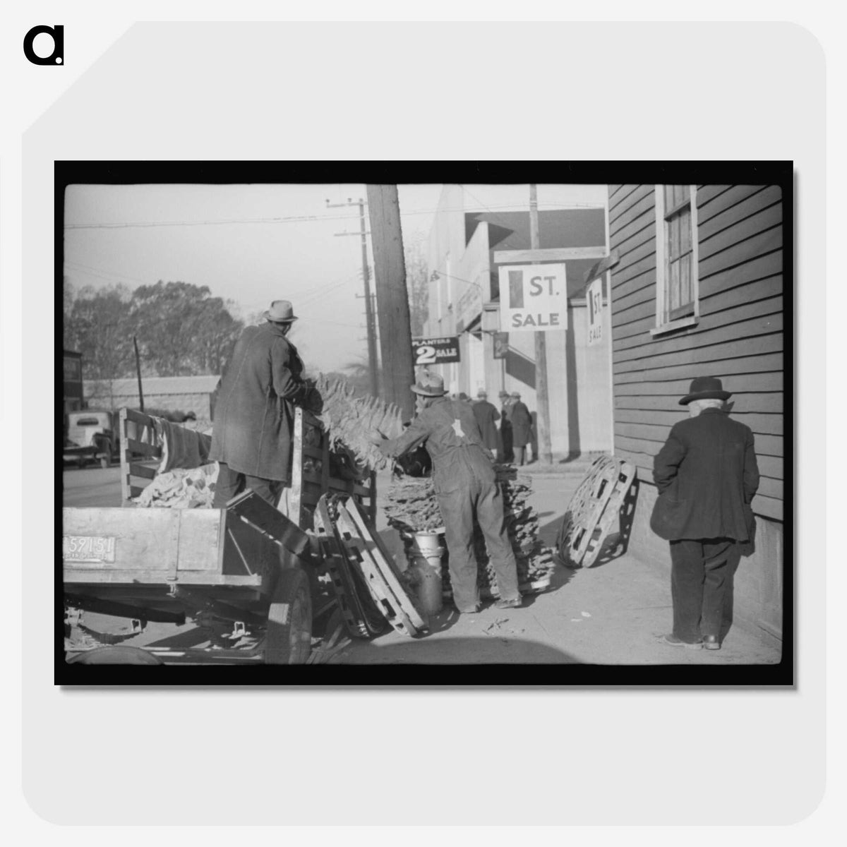 3-11_Marion-Post-Wolcott_picture-crop