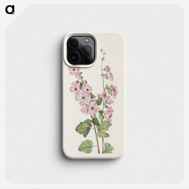 3-11_Mary-Vaux-Walcott_phone