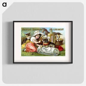 アートポスター-Mexican Mustang Liniment
 - 国立医学図書館 Poster.