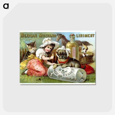 アートポストカード-Mexican Mustang Liniment
 - 国立医学図書館 Postcard.