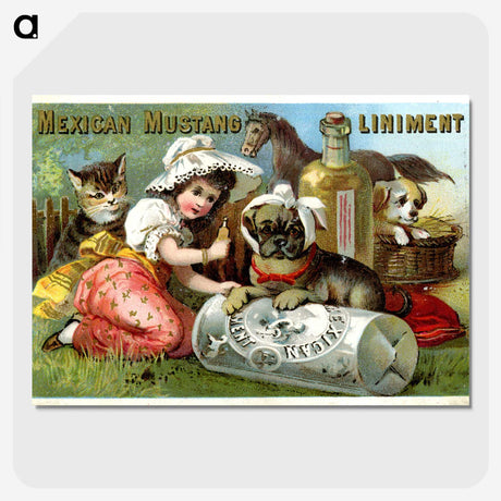 3-11_National-Library-of-Medicine_picture-crop