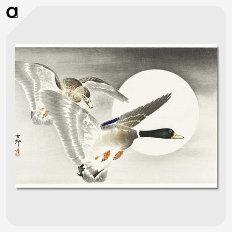 3-11_Ohara-Koson_picture-crop