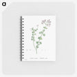 3-11_Pierre-Joseph-Redoute_memo