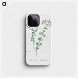 Crassula Spathulata (Uguwe) - ピエール ジョゼフ ルドゥーテ Phone Case.