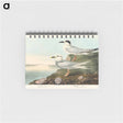 アートメモ帳-Havell's Tern and Trudeau's Tern from Birds of America
 - アメリカの鳥たち Memo.