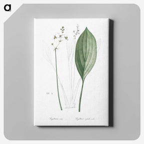 3-11_The-Lilies_canvas