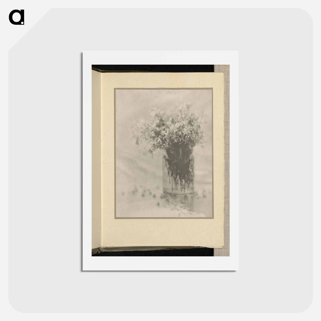 アートポストカード-Still Life - アルフレッド スティーグリッツ Postcard.