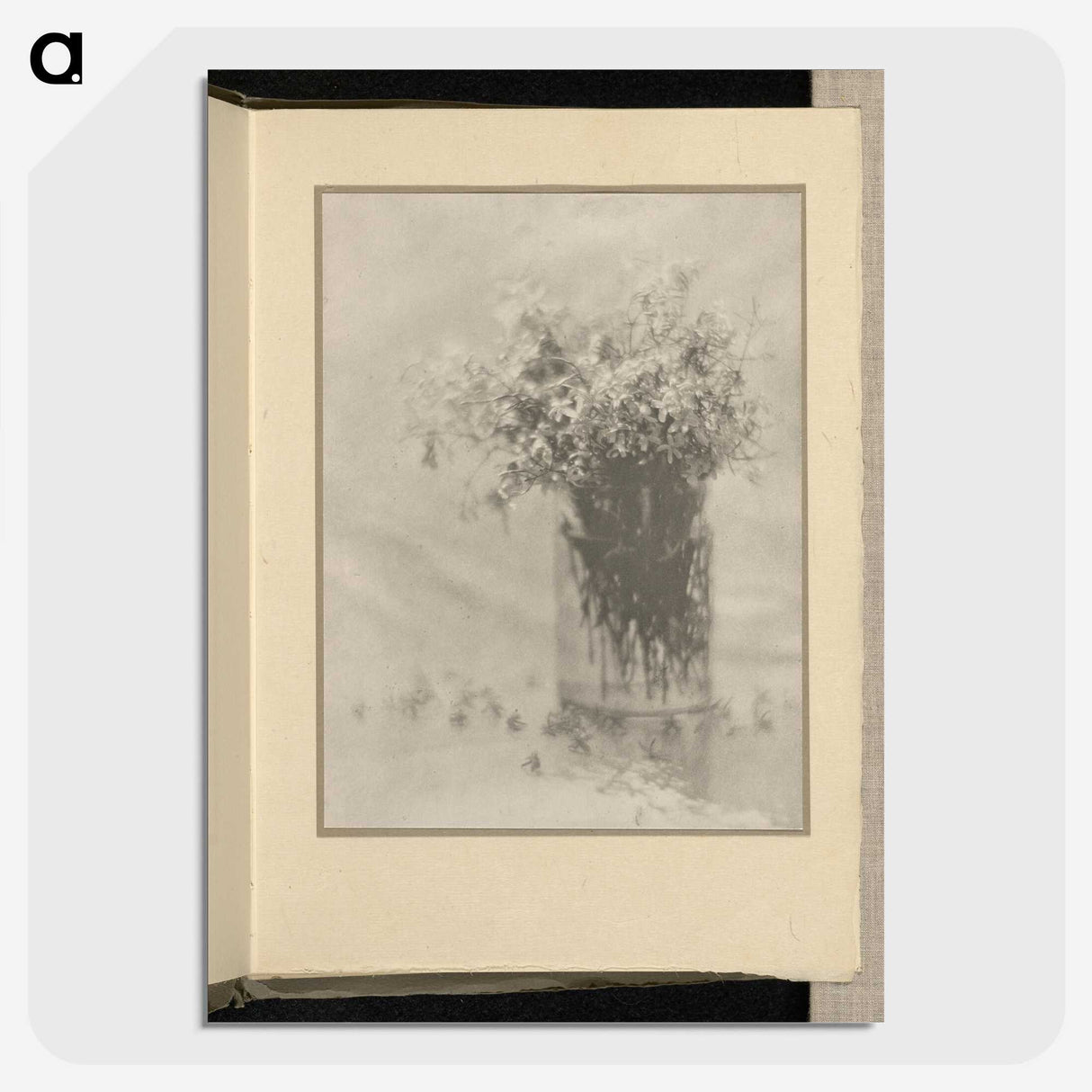 3-12_Alfred-Stieglitz_picture-crop