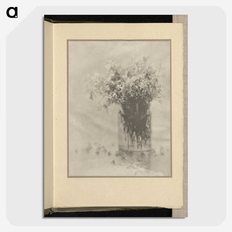 3-12_Alfred-Stieglitz_picture-crop