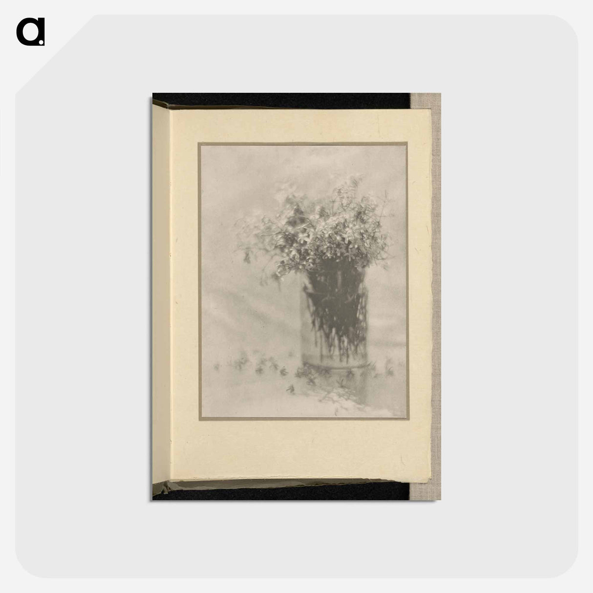 アートポストカード-Still Life - アルフレッド スティーグリッツ Postcard.