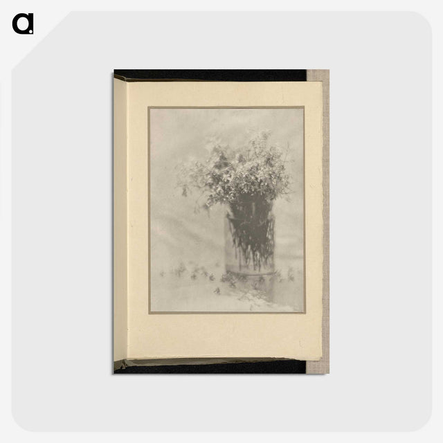 3-12_Alfred-Stieglitz_postcard
