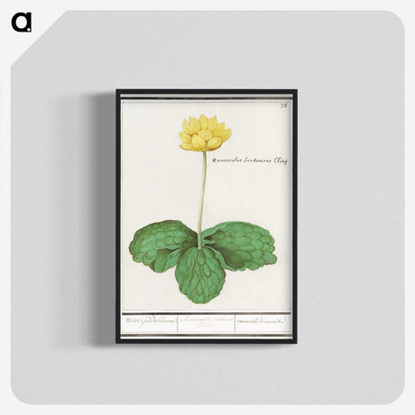 3-12_Anselmus-Boetius-de-Boodt_blk-crop