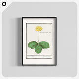 3-12_Anselmus-Boetius-de-Boodt_blk