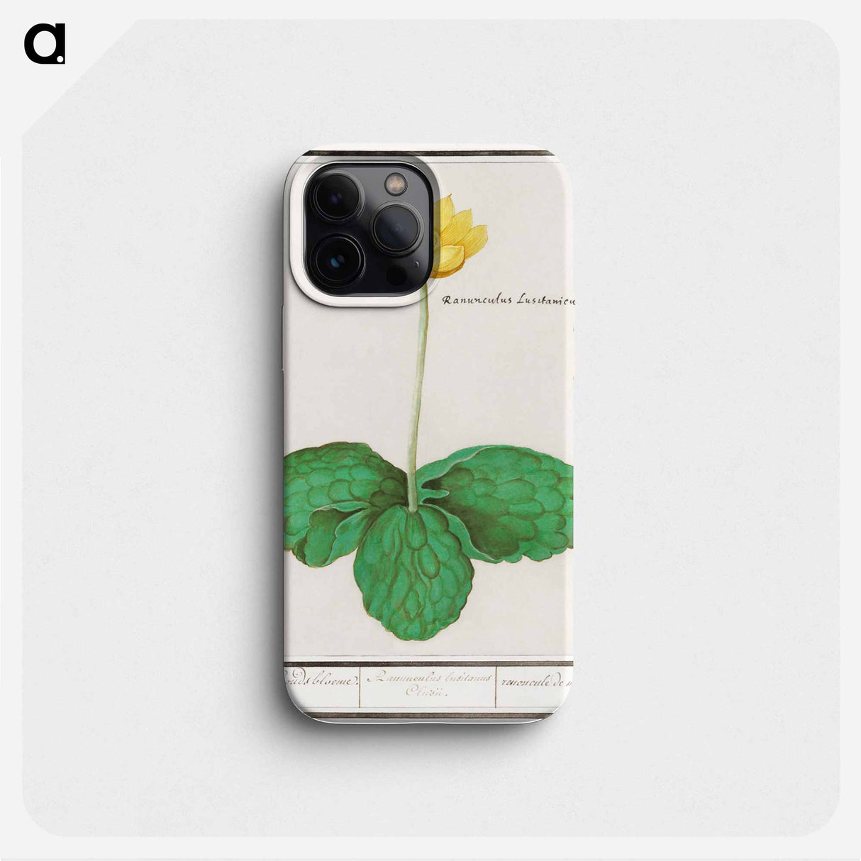Yellow floppy - アンセルムス ボエティウス デ ブート Phone Case.