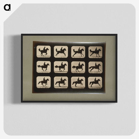 3-12_Eadweard-Muybridge_blk-crop