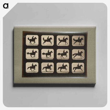 3-12_Eadweard-Muybridge_canvas