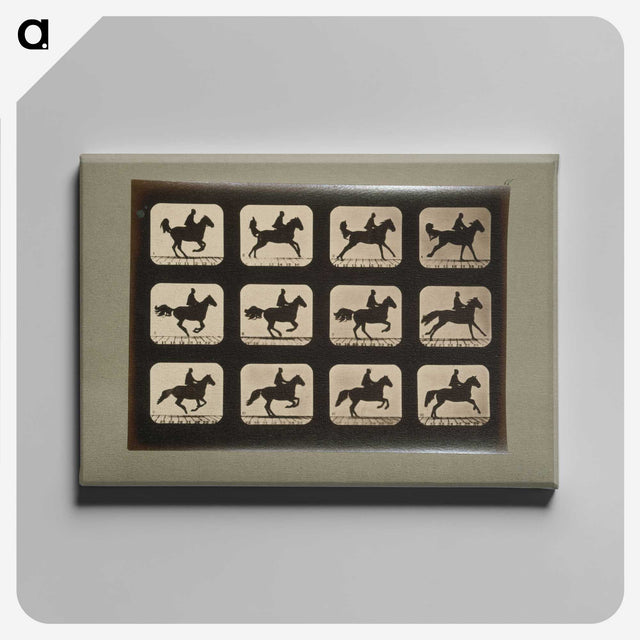 3-12_Eadweard-Muybridge_canvas