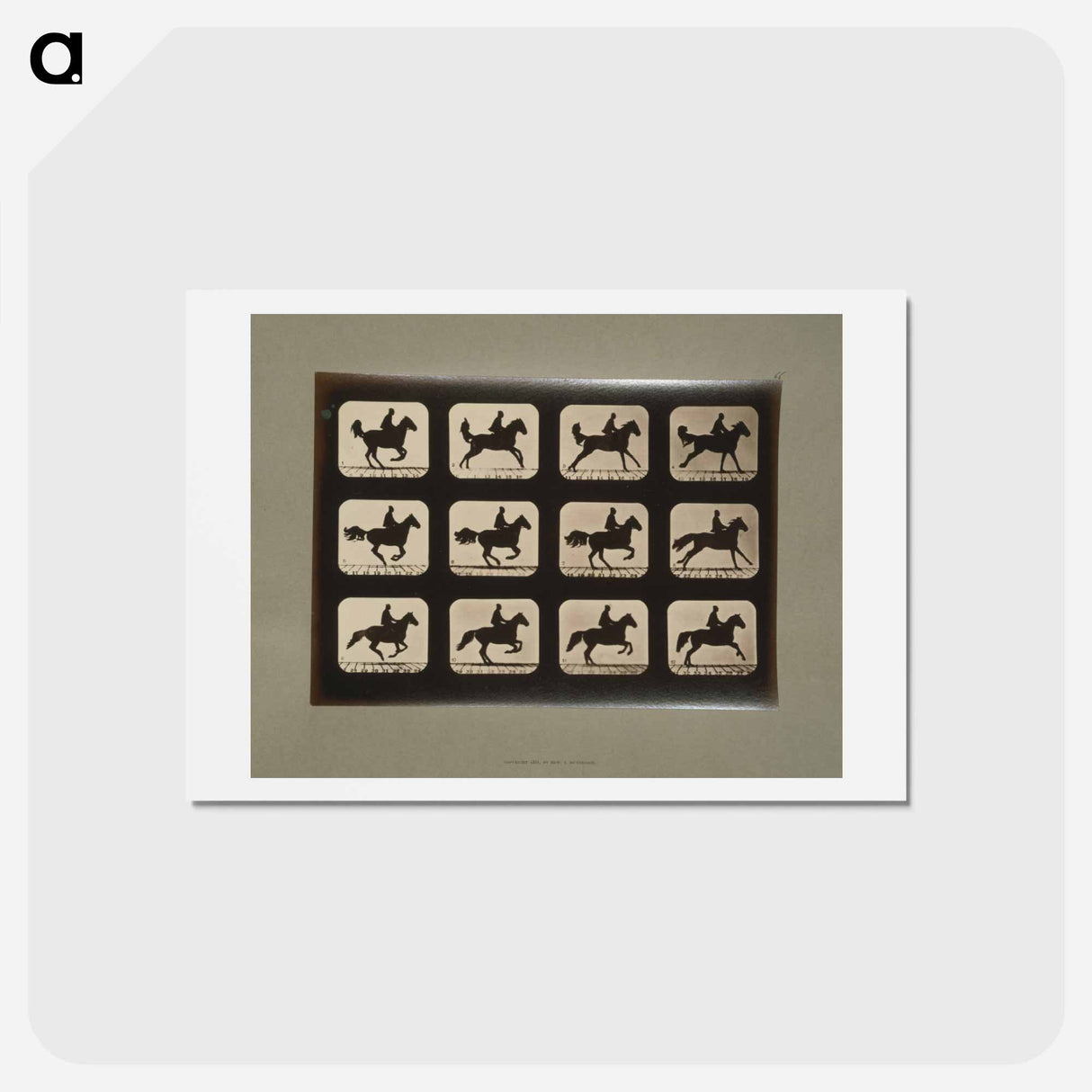 アートポストカード-Horses
 - エドワード マイブリッジ Postcard.