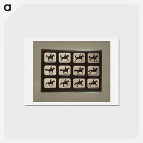 アートポストカード-Horses
 - エドワード マイブリッジ Postcard.