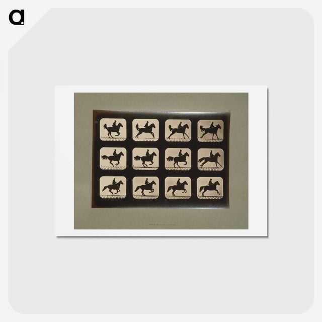 アートポストカード-Horses
 - エドワード マイブリッジ Postcard.