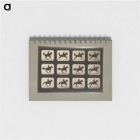 3-12_Eadweard-Muybridge_memo