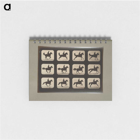 3-12_Eadweard-Muybridge_memo
