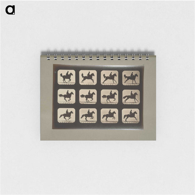 3-12_Eadweard-Muybridge_memo