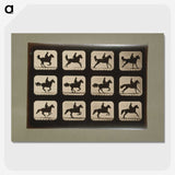 3-12_Eadweard-Muybridge_picture-crop