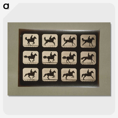 3-12_Eadweard-Muybridge_picture-crop