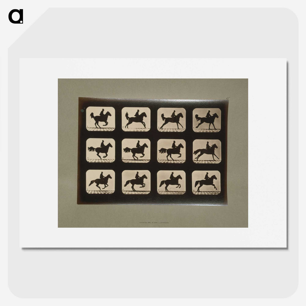 3-12_Eadweard-Muybridge_picture
