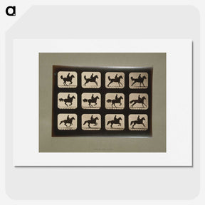 3-12_Eadweard-Muybridge_picture