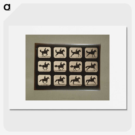3-12_Eadweard-Muybridge_picture