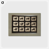 アートポストカード-Horses
 - エドワード マイブリッジ Postcard.