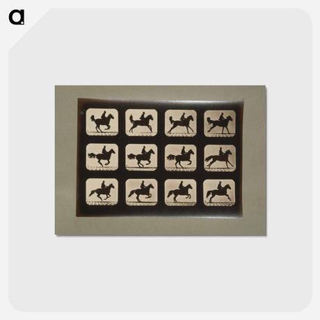 アートポストカード-Horses
 - エドワード マイブリッジ Postcard.