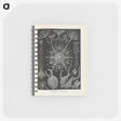 3-12_Ernst-Haeckel_memo